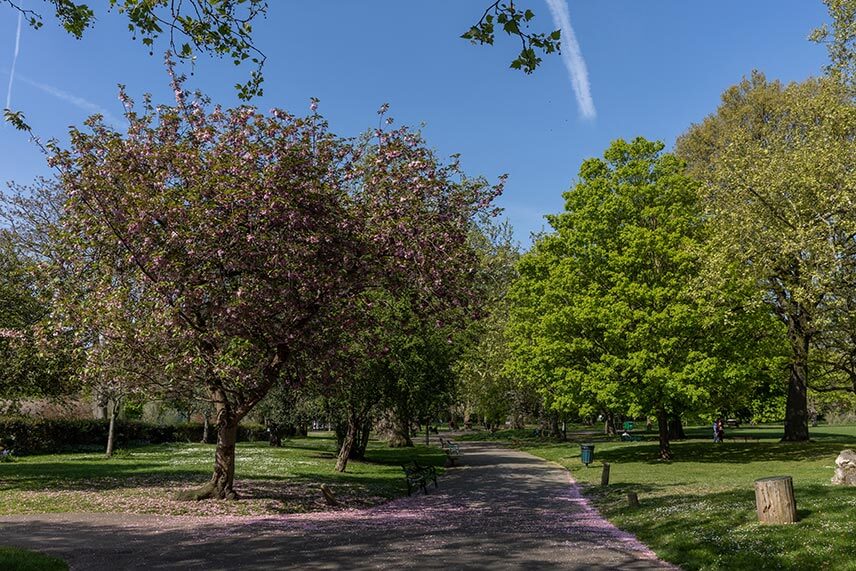 Kennington Park
